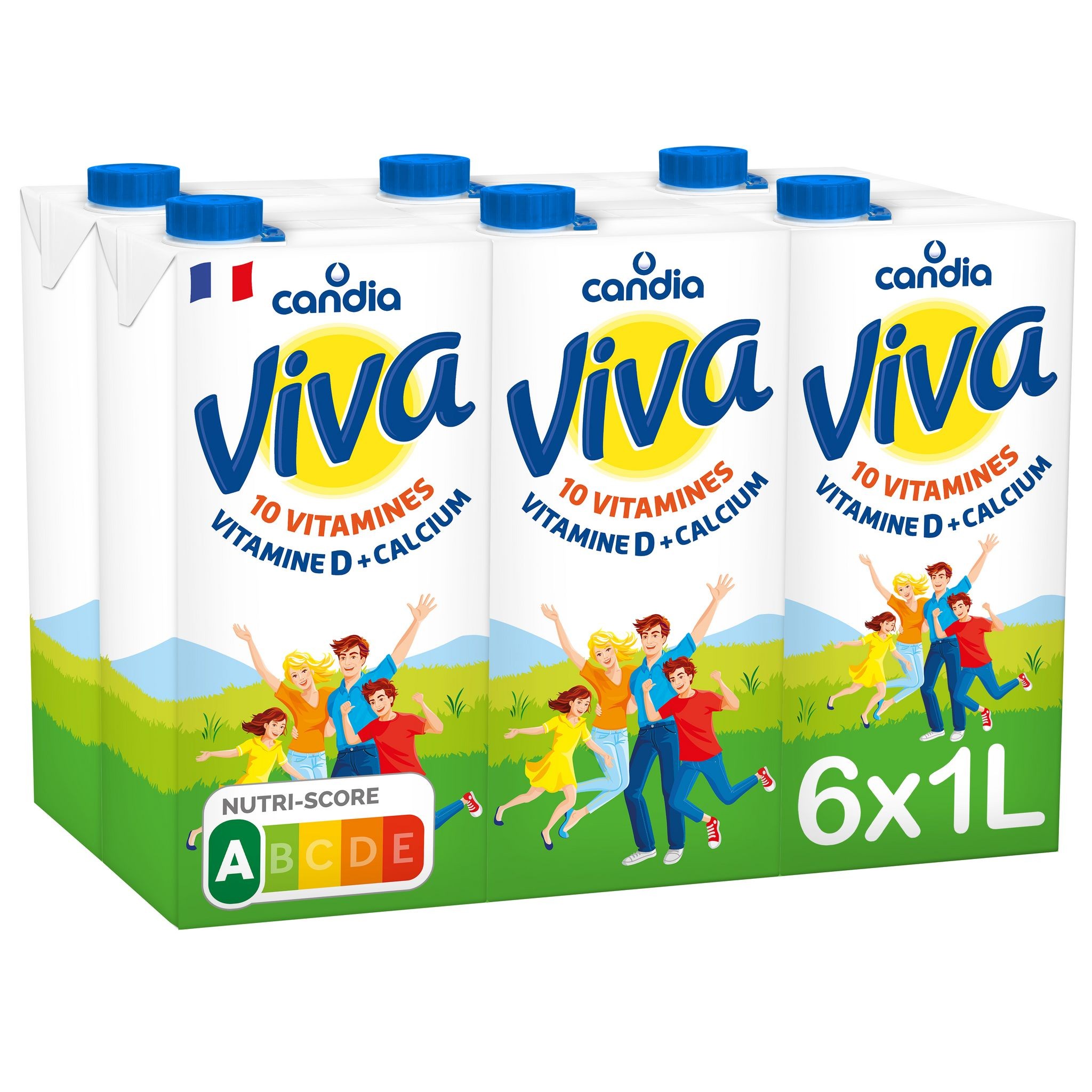 VIVA 6X1L