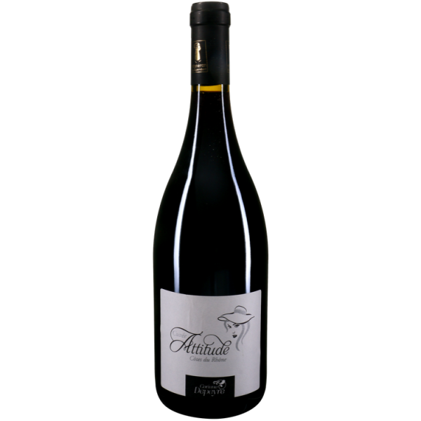 Vin rouge Côtes du Rhône NoBrand75cl x1 173